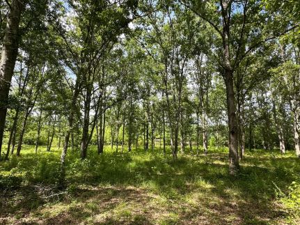 Ranch Property for sale in Bibb County, Alabama