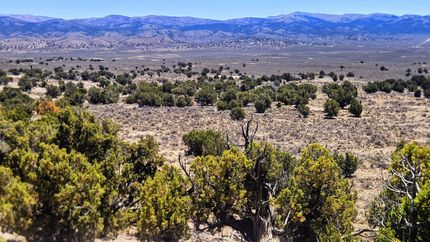 Timberland Property for sale in Elko County, Nevada