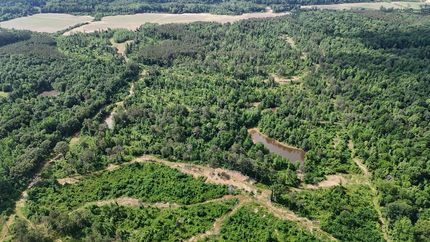 Farm Property for sale in Panola County, Mississippi