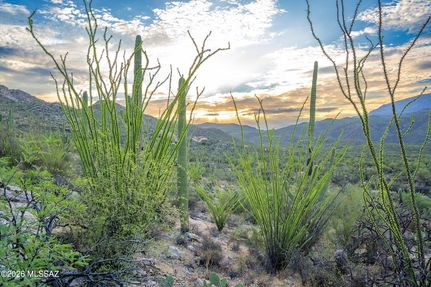 Timberland Property for sale in Pima County, Arizona