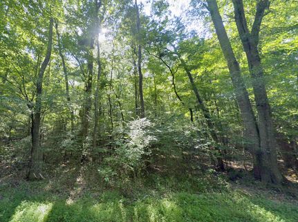 Recreational Property for sale in Marshall County, Alabama