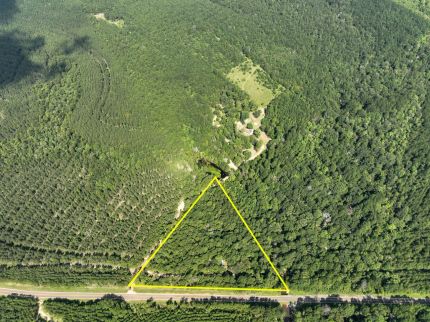 Ranch Property for sale in Newton County, Texas