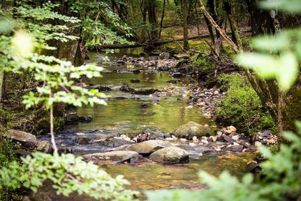 Farm Property for sale in McCurtain County, Oklahoma