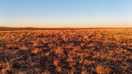 Ranch Property for sale in Debaca County, New Mexico