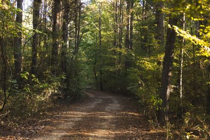 Ranch Property for sale in Hempstead County, Arkansas