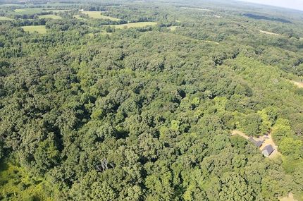 Timberland Property for sale in Henry County, Tennessee