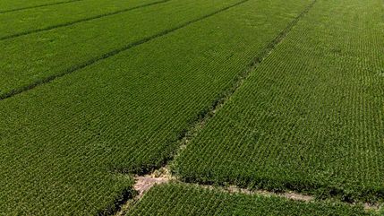 Farm Property for sale in Sacramento County, California
