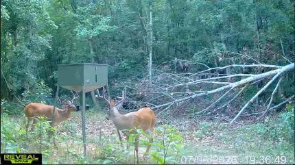 Ranch Property for sale in Brown County, Ohio