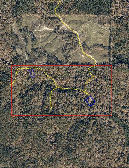 Recreational Property for sale in Choctaw County, Alabama