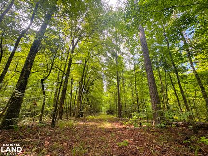 Ranch Property for sale in Tallapoosa County, Alabama