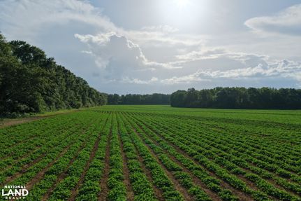 Farm Property for sale in Geneva County, Alabama
