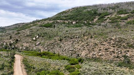 Farm Property for sale in Carbon County, Utah