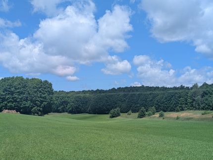 Farm Property for sale in Charlevoix County, Michigan