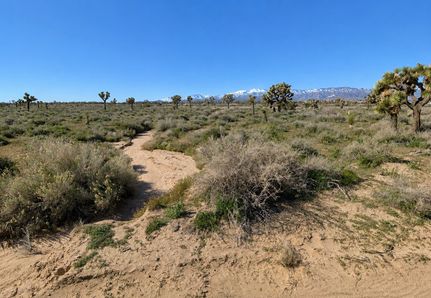 Farm Property for sale in San Bernardino County, California