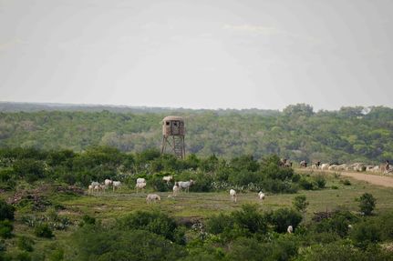 Farm Property for sale in Real County, Texas