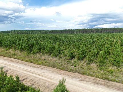 Ranch Property for sale in Camden County, Georgia
