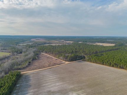 Farm Property for sale in Wayne County, Georgia