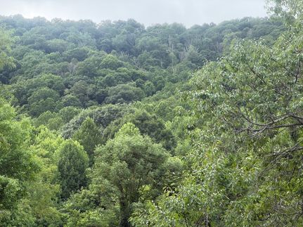 Farm Property for sale in Haywood County, North Carolina