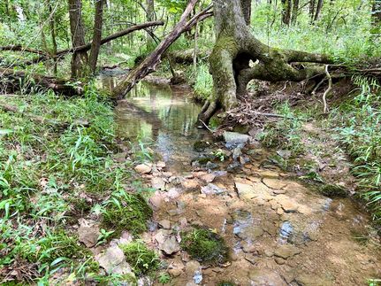Ranch Property for sale in Cleburne County, Arkansas