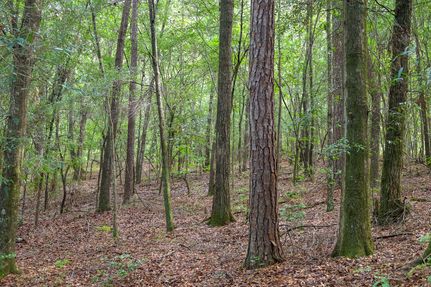 Residential Property for sale in Baldwin County, Georgia
