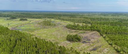 Farm Property for sale in Brantley County, Georgia