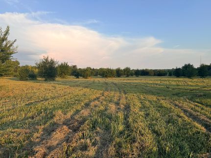 Farm Property for sale in Newton County, Missouri