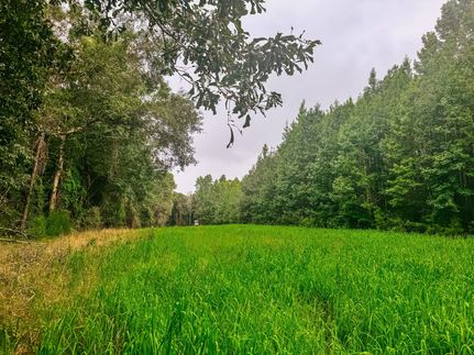 Farm Property for sale in Lee County, Alabama