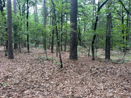 Recreational Property for sale in Pushmataha County, Oklahoma