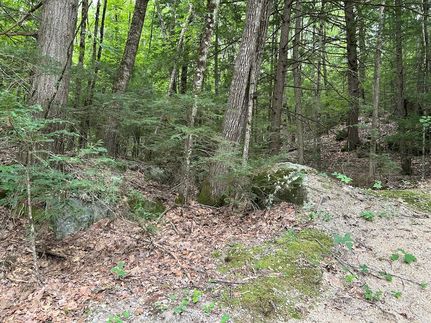 Farm Property for sale in Merrimack County, New Hampshire