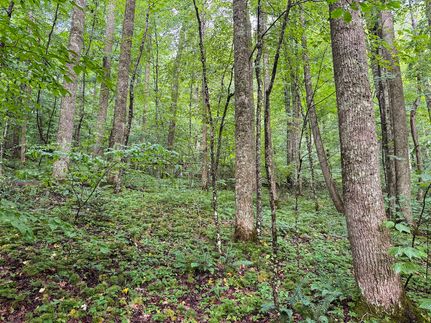 Ranch Property for sale in Barbour County, West Virginia