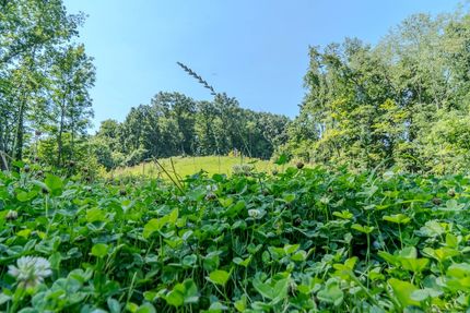 Farm Property for sale in Greene County, Pennsylvania