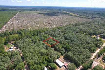 Undeveloped Land for sale in Putnam County, Florida