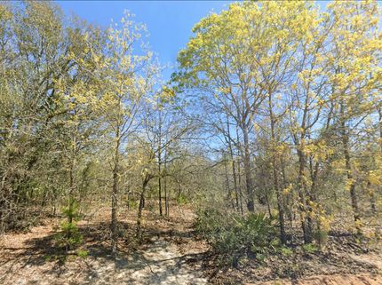 Timberland Property for sale in Coffee County, Georgia