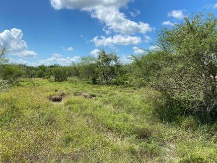 Farm Property for sale in Duval County, Texas