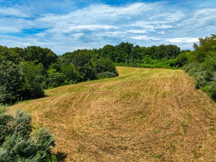 Farm Property for sale in Union County, Illinois