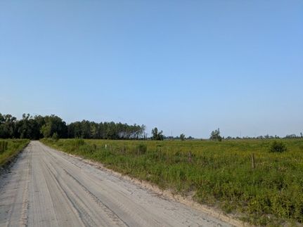 Farm Property for sale in Lafayette County, Florida