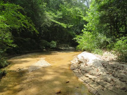 Ranch Property for sale in Coffee County, Alabama