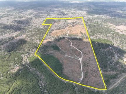 Farm Property for sale in Jasper County, Texas