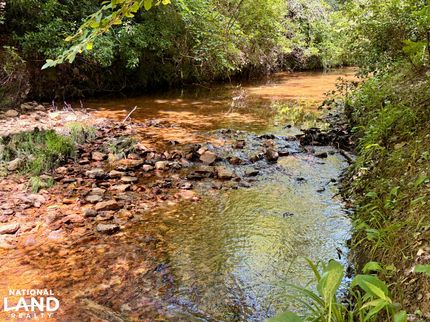 Farm Property for sale in Choctaw County, Alabama