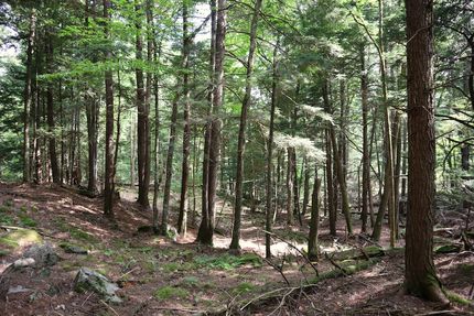 Residential Property for sale in Warren County, New York