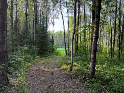 Commercial Property for sale in Crow Wing County, Minnesota