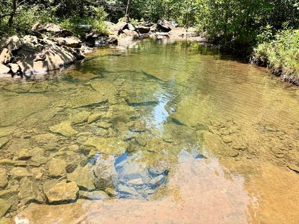 Undeveloped Land for sale in Van Buren County, Arkansas