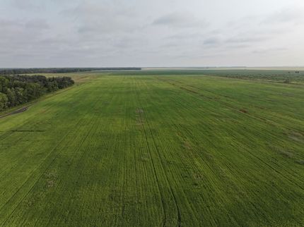 Farm Property for sale in Marshall County, Minnesota