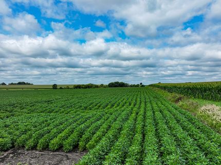 Farm Property for sale in Chickasaw County, Iowa