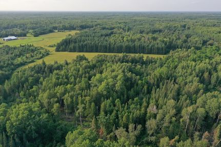 Ranch Property for sale in Saint Louis County, Minnesota