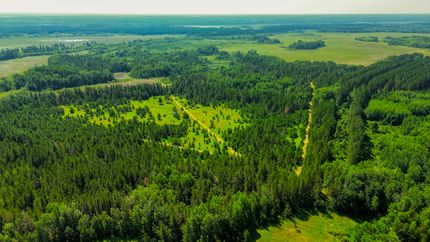 Farm Property for sale in Wadena County, Minnesota