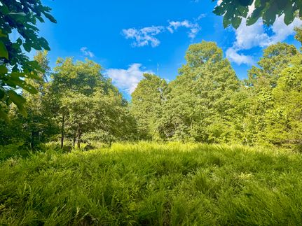 Farm Property for sale in Marion County, Arkansas