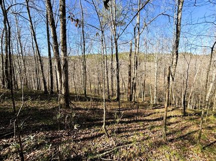 Farm Property for sale in Lawrence County, Alabama