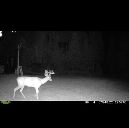 Ranch Property for sale in Douglas County, Wisconsin