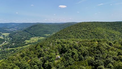 Timberland Property for sale in Delaware County, New York